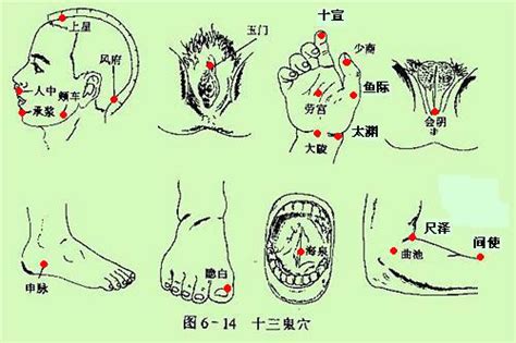 十三鬼穴 位置|【民间特技】鬼门十三针，中医针灸神了